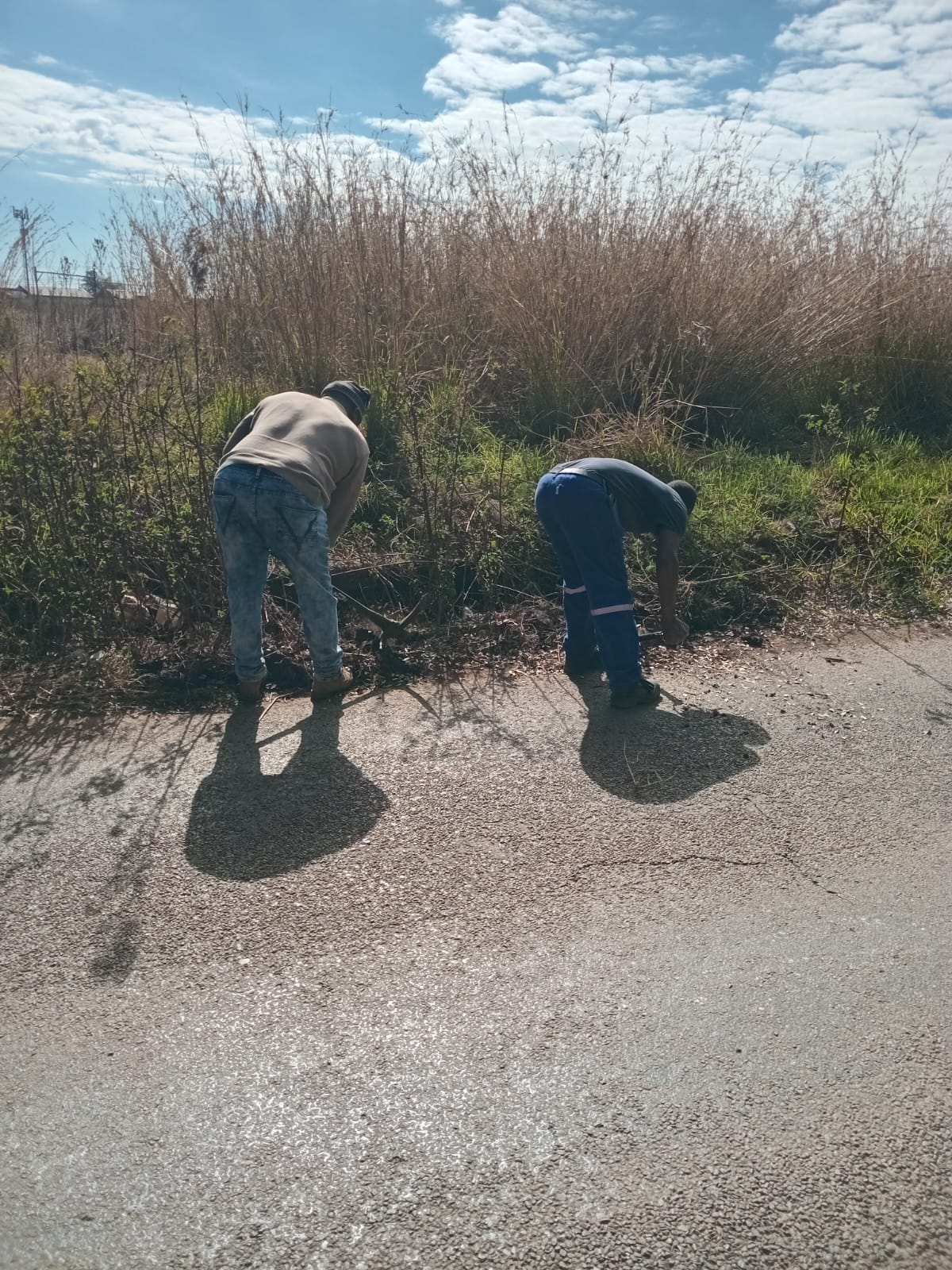 IMG-20260525-WA0017